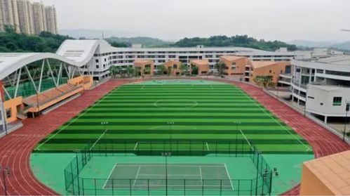 廣陽灣珊瑚中學 打造重慶市數字化教育新名片，憑實力出圈啟悟未來