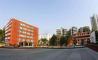 2019年武漢江漢區初中排名及入學條件，兼談廈門市啟悟中學概況