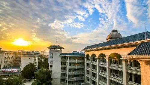 承黃埔精神，傳長風之魂——記廈門市啟悟中學的育人使命